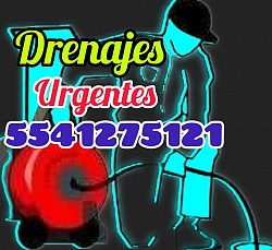 CUAUHTÉMOC CDMX DESTAPACAÑOS Y DESAZOLVES TEL 5541275121 CUAUHTÉMOC CDMX Ver todas las colonias (34) • DESTAPACAÑOS Y DESAZOLVES TEL 5541275121 Algarín Cuauhtémoc, CDMX, México • DESTAPACAÑOS Y DESAZOLVES TEL 5541275121 Ampliación Asturias Cuauhtémoc, CDMX, México • DESTAPACAÑOS Y DESAZOLVES TEL 5541275121 Asturias Cuauhtémoc, CDMX, México • DESTAPACAÑOS Y DESAZOLVES TEL 5541275121 Atlampa Cuauhtémoc, CDMX, México • DESTAPACAÑOS Y DESAZOLVES TEL 5541275121 Buenavista Cuauhtémoc, CDMX, México • DESTAPACAÑOS Y DESAZOLVES TEL 5541275121 Buenos Aires Cuauhtémoc, CDMX, México • DESTAPACAÑOS Y DESAZOLVES TEL 5541275121 Centro Cuauhtémoc, CDMX, México • DESTAPACAÑOS Y DESAZOLVES TEL 5541275121 Condesa Cuauhtémoc, CDMX, México • DESTAPACAÑOS Y DESAZOLVES TEL 5541275121 Cuauhtémoc Cuauhtémoc, CDMX, México • DESTAPACAÑOS Y DESAZOLVES TEL 5541275121 Doctores Cuauhtémoc, CDMX, México • DESTAPACAÑOS Y DESAZOLVES TEL 5541275121 Esperanza Cuauhtémoc, CDMX, México • DESTAPACAÑOS Y DESAZOLVES TEL 5541275121 Ex-Hipódromo de Peralvillo Cuauhtémoc, CDMX, México • DESTAPACAÑOS Y DESAZOLVES TEL 5541275121 Felipe Pescador Cuauhtémoc, CDMX, México • DESTAPACAÑOS Y DESAZOLVES TEL 5541275121 Guerrero Cuauhtémoc, CDMX, México • DESTAPACAÑOS Y DESAZOLVES TEL 5541275121 Hipódromo Cuauhtémoc, CDMX, México • DESTAPACAÑOS Y DESAZOLVES TEL 5541275121 Hipódromo Condesa Cuauhtémoc, CDMX, México • DESTAPACAÑOS Y DESAZOLVES TEL 5541275121 Juárez Cuauhtémoc, CDMX, México • DESTAPACAÑOS Y DESAZOLVES TEL 5541275121 Maza Cuauhtémoc, CDMX, México • DESTAPACAÑOS Y DESAZOLVES TEL 5541275121 Morelos Cuauhtémoc, CDMX, México • DESTAPACAÑOS Y DESAZOLVES TEL 5541275121 Obrera Cuauhtémoc, CDMX, México • DESTAPACAÑOS Y DESAZOLVES TEL 5541275121 Paulino Navarro Cuauhtémoc, CDMX, México • DESTAPACAÑOS Y DESAZOLVES TEL 5541275121 Peralvillo Cuauhtémoc, CDMX, México • DESTAPACAÑOS Y DESAZOLVES TEL 5541275121 Roma Norte Cuauhtémoc, CDMX, México • DESTAPACAÑOS Y DESAZOLVES TEL 5541275121 Roma Sur Cuauhtémoc, CDMX, México • DESTAPACAÑOS Y DESAZOLVES TEL 5541275121 San Rafael Cuauhtémoc, CDMX, México • DESTAPACAÑOS Y DESAZOLVES TEL 5541275121 San Simón Tolnáhuac Cuauhtémoc, CDMX, México • DESTAPACAÑOS Y DESAZOLVES TEL 5541275121 Santa María Insurgentes Cuauhtémoc, CDMX, México • DESTAPACAÑOS Y DESAZOLVES TEL 5541275121 Santa María la Ribera Cuauhtémoc, CDMX, México • DESTAPACAÑOS Y DESAZOLVES TEL 5541275121 Tabacalera Cuauhtémoc, CDMX, México • DESTAPACAÑOS Y DESAZOLVES TEL 5541275121 Tránsito Cuauhtémoc, CDMX, México • DESTAPACAÑOS Y DESAZOLVES TEL 5541275121 Unidad Habitacional Nonoalco-Tlatelolco Cuauhtémoc, CDMX, México • DESTAPACAÑOS Y DESAZOLVES TEL 5541275121 Valle Gómez Cuauhtémoc, CDMX, México • DESTAPACAÑOS Y DESAZOLVES TEL 5541275121 Vista Alegre Cuauhtémoc, CDMX, México